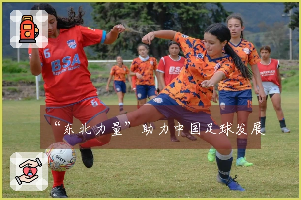 “东北力量”助力中国足球发展